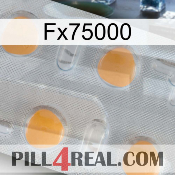 Fx75000 24
